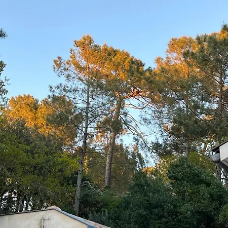 Marylka - Au Pyla Semesterbostad La Teste-de-Buch